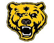 Upper Arlington Bear Cub Baseball